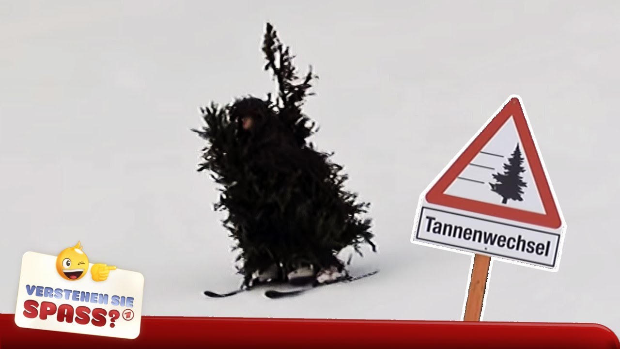 Tanne auf der Skipiste | Verstehen Sie Spa&szlig;?