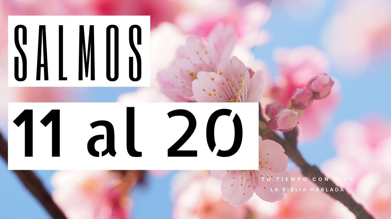 La Biblia Hablada 📖🎤Libro de los Salmos 11 al 20☝🏼🙌🏼