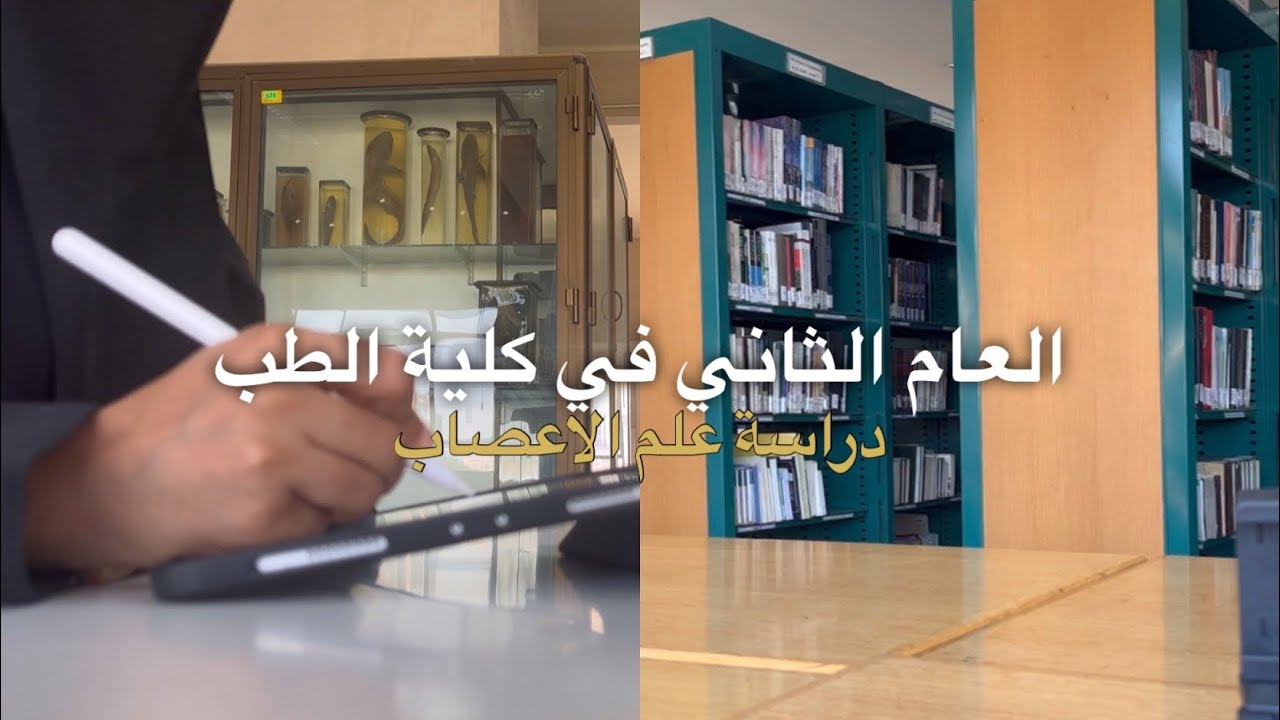 يوميات طالبة طب | الكثير من الدراسة والسهر ، ايام قبل اختبار علم الأعصاب.