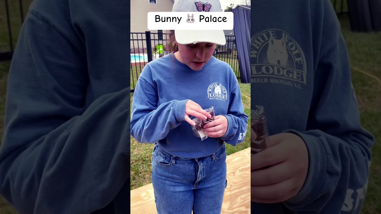 Building Mary’s bunny palace with family! 