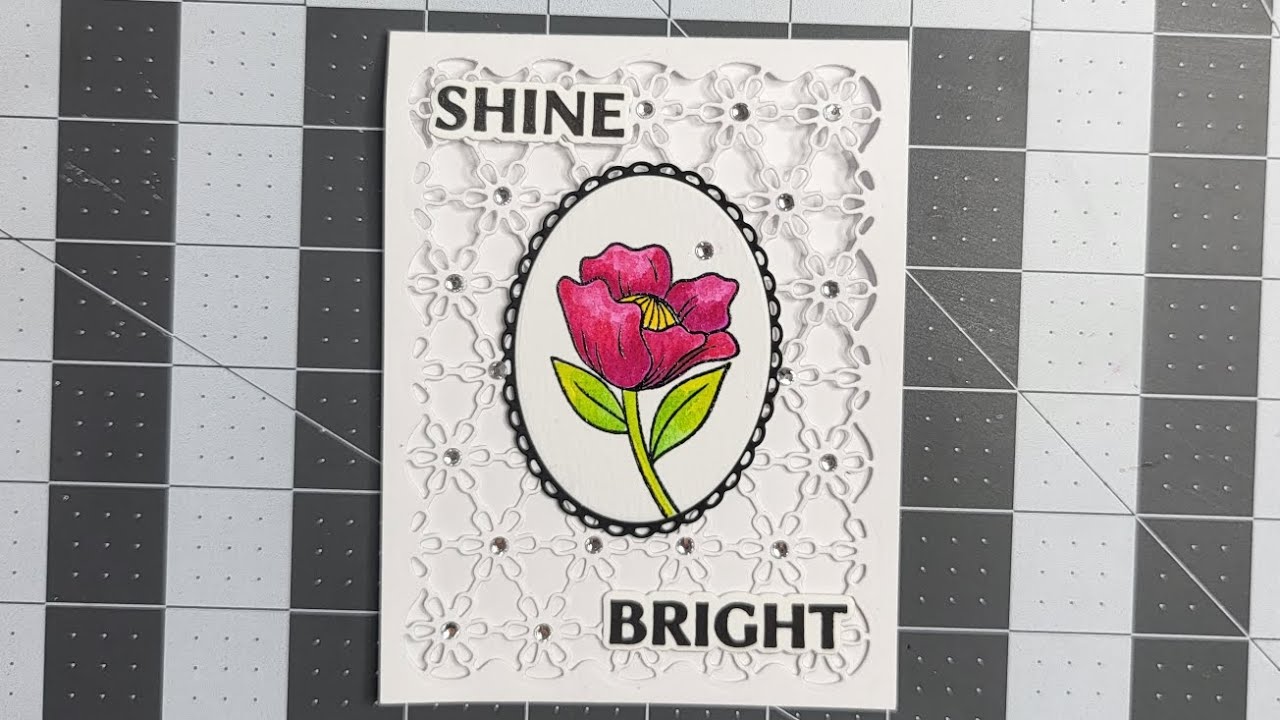 YOU WONT BREAK ME!!! HERE I OPEN UP ABOUT BEING BULLIED ONLINE BY A STAMP COMPANY!
