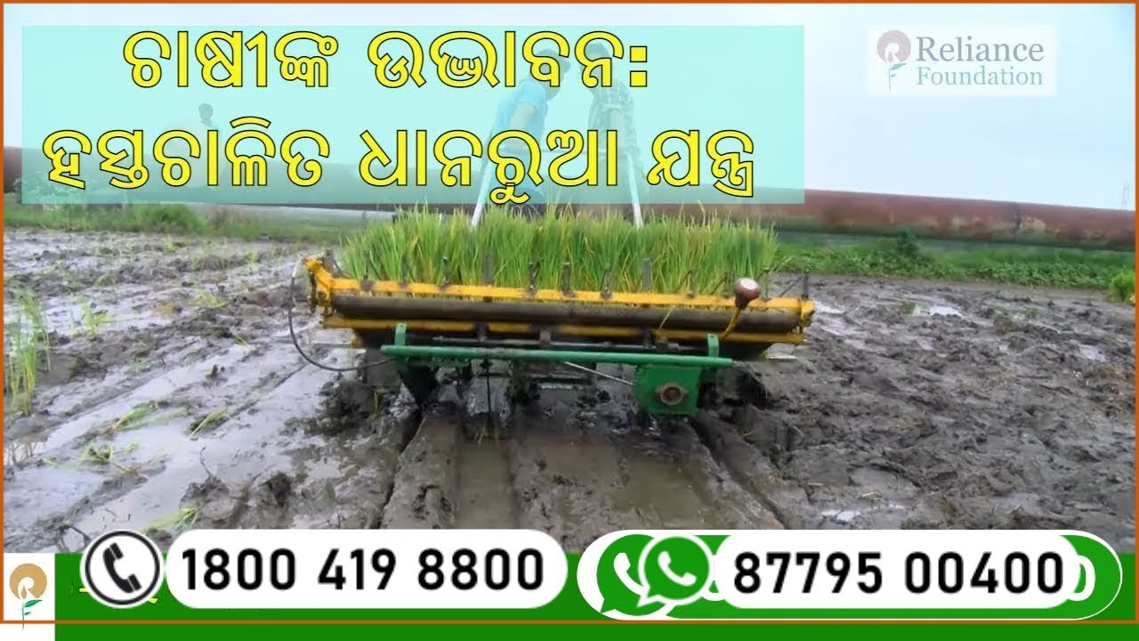 ଚାଷୀଙ୍କ ଉଦ୍ଭାବନ: ହସ୍ତଚାଳିତ ଧାନରୁଆ ଯନ୍ତ୍ର | Manual Rice Transplanter for Paddy Crop
