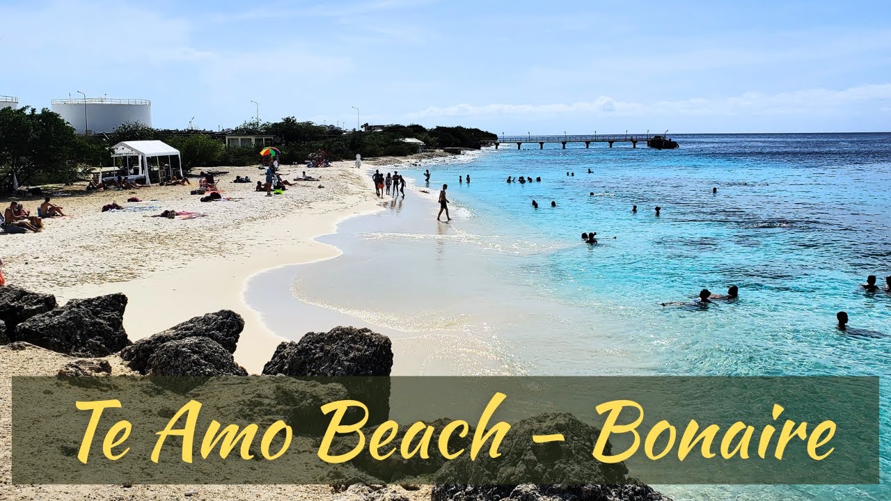 Te Amo Beach, Bonaire - what it's really like
