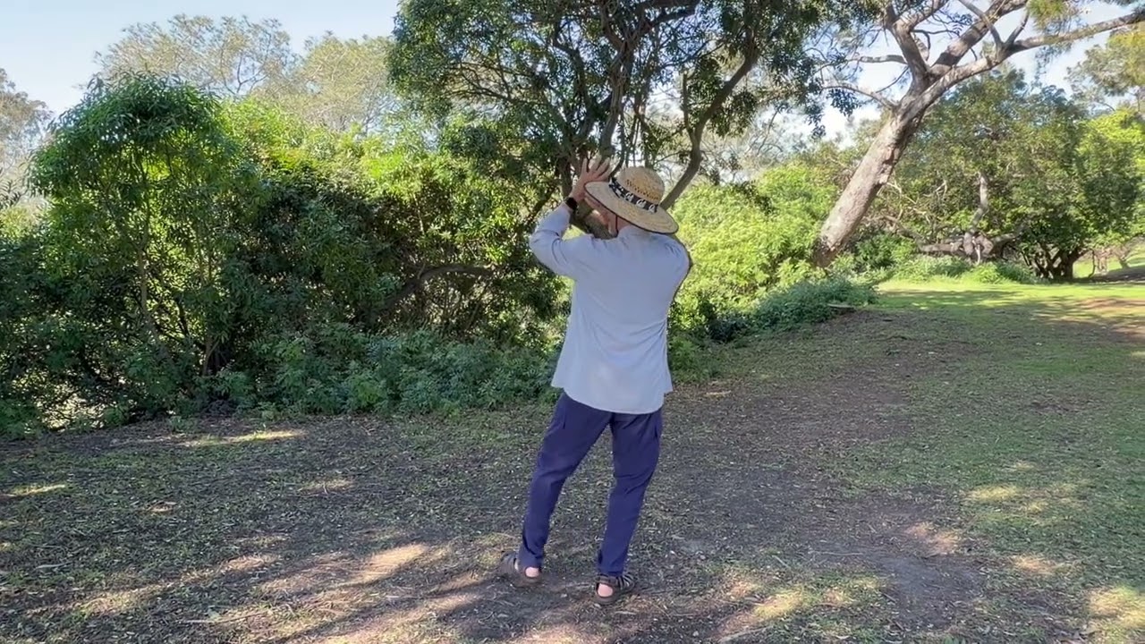 Turn, Deflect, Parry, and Punch 4