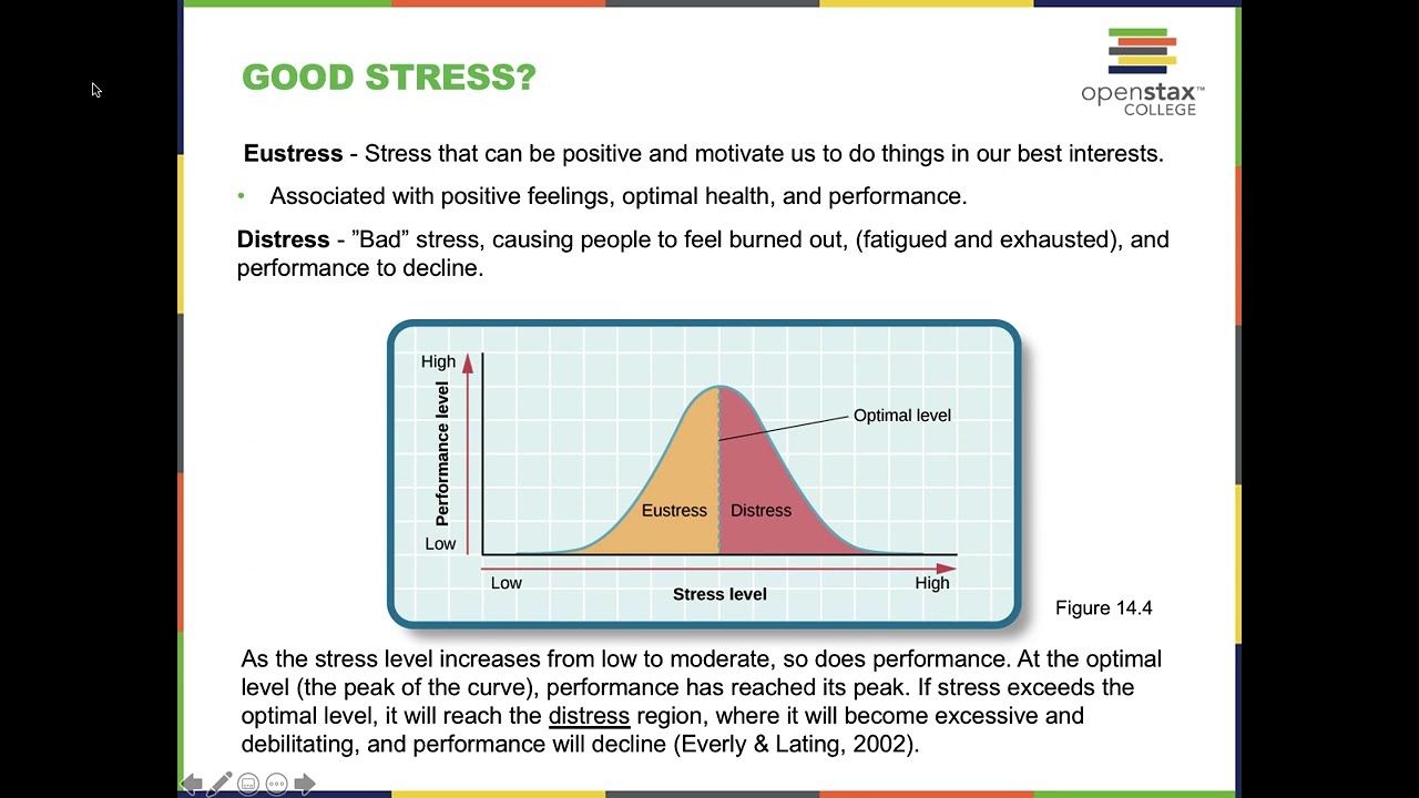 What is Stress? Eustress vs Distress