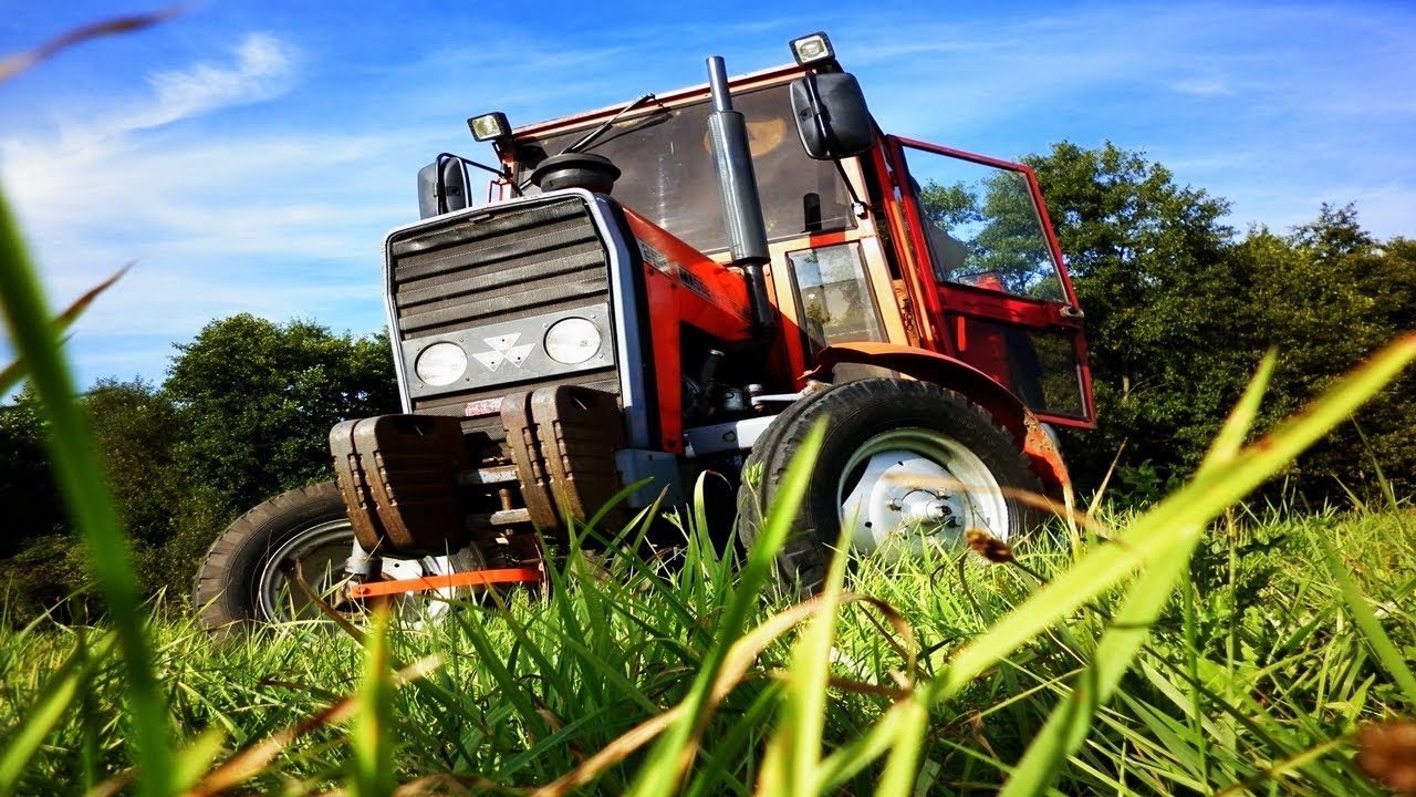 Massey Ferguson 255 ㋡ MafiaSolec