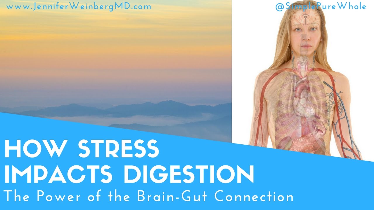 How Stress Impacts Digestion: The Power of the Brain-Gut Connection {Mind-Body Medicine}