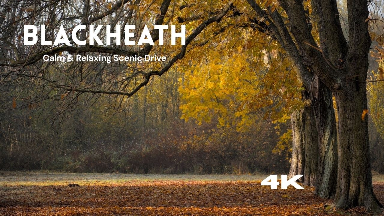 Blackheath Scenic Drive | Calm & Relaxing South East London Drive 4K