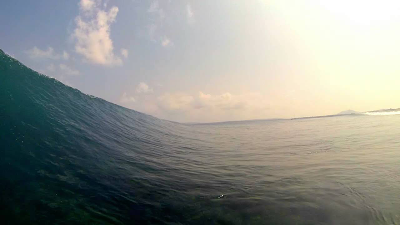 Onepalm September 2014
