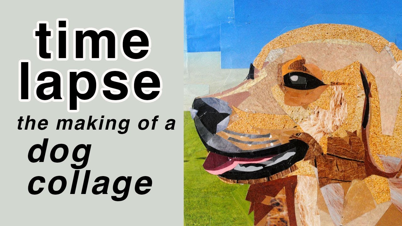 Making a Golden Retriever Collage from Magazine Cutouts