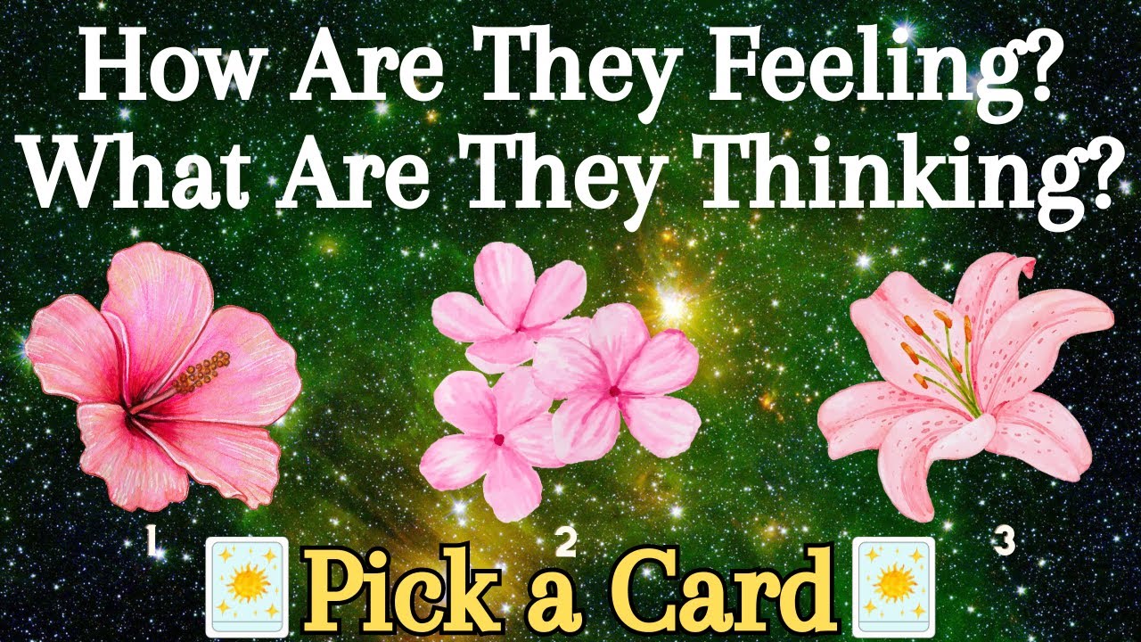 How Are They Feeling For You? What Are They Thinking About You?❀Pick a Card❀Tarot Reading