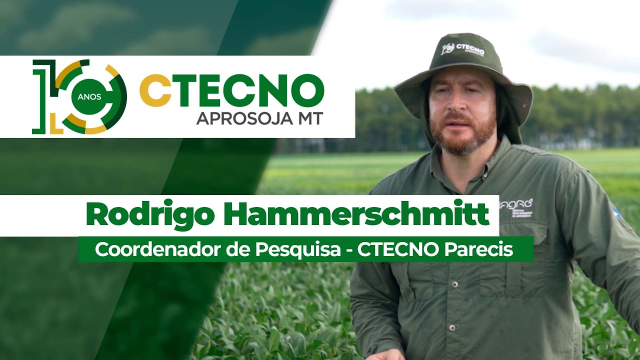 Comportamento das principais cultivares plantadas em MT em solos argilosos e arenosos