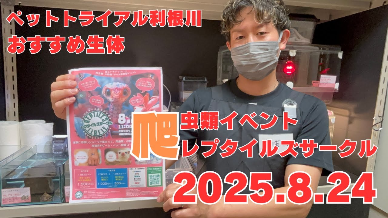 【爬虫類イベント紹介】 ペットトライアル利根川 レプタイルズサークルおすすめ生体 2025年8月24日