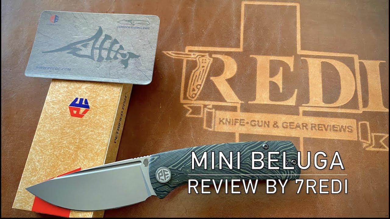 Petrified Fish MINI Beluga Review - Pretty much Perfect at 50$!