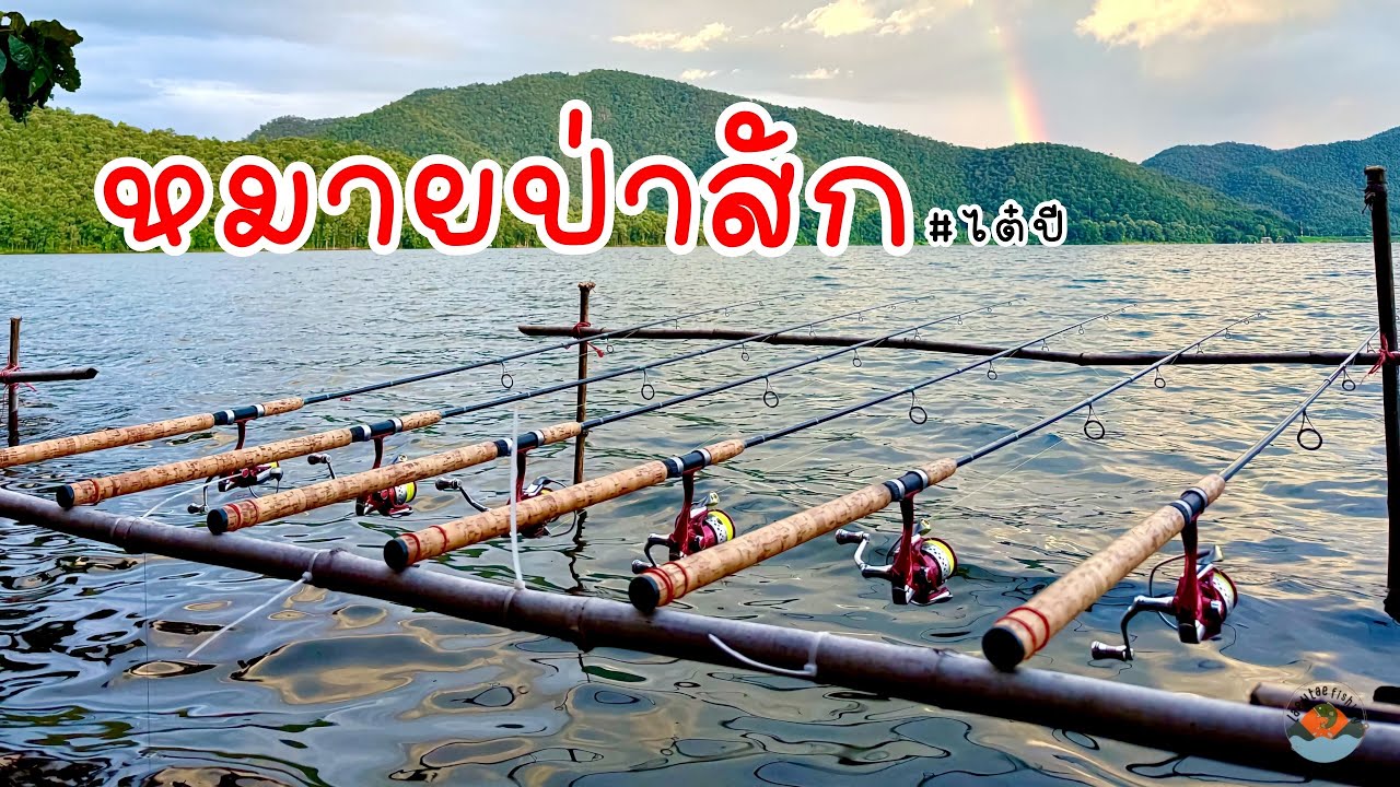 Ep.121 เขื่อนแม่กวง หมายป่าสัก #ตกปลา #ตกปลาหน้าดิน #ตกปลาหมายธรรมชาติ