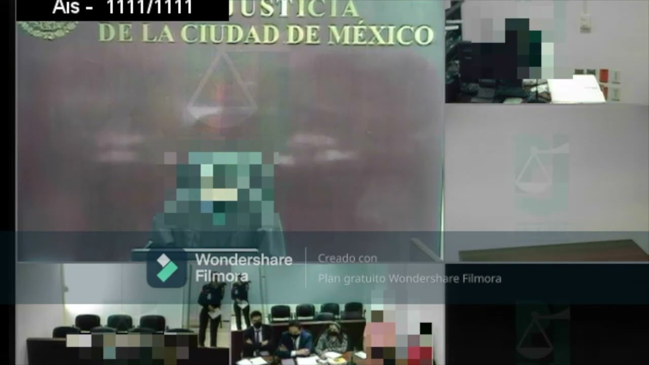 Alegatos en audiencia de Individualización de la pena y reparación del daño.