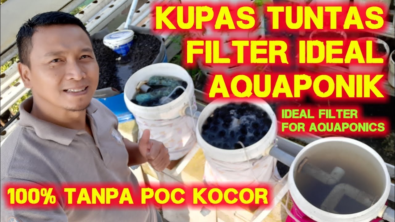 Filter Ideal untuk  Aquaponics