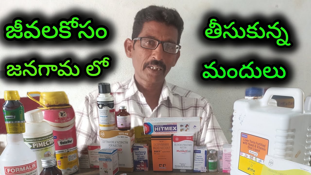I took medicine in Janagoan for Future #sheepfarming #asmr #medicine#jai jawan#jai kisan