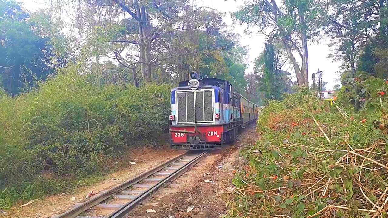 Narrow Gauge Train - Indian Railways