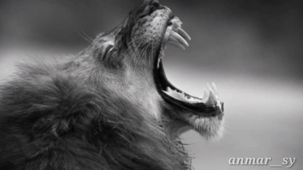 من بعدهم والله ماريد العمر