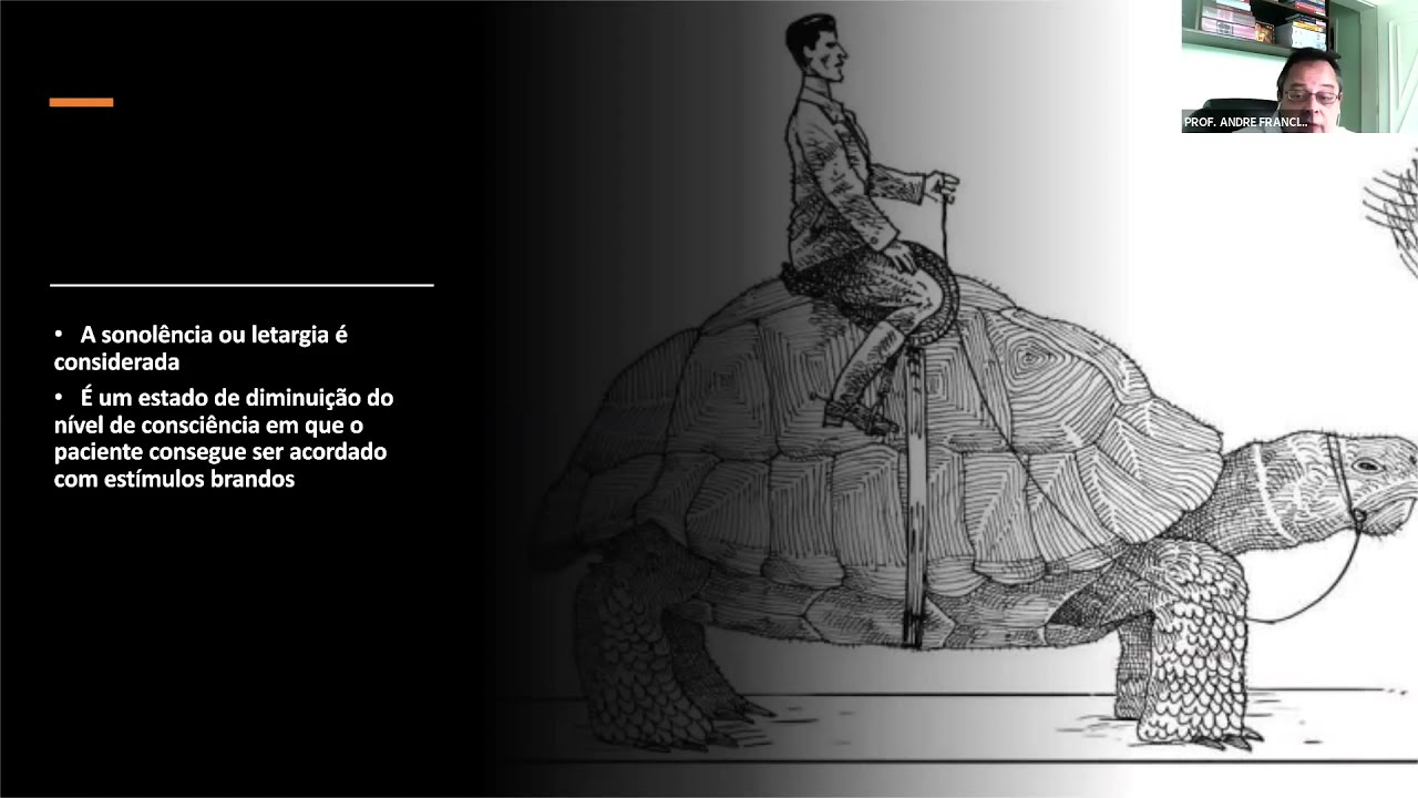Noções Básicas sobre o Coma