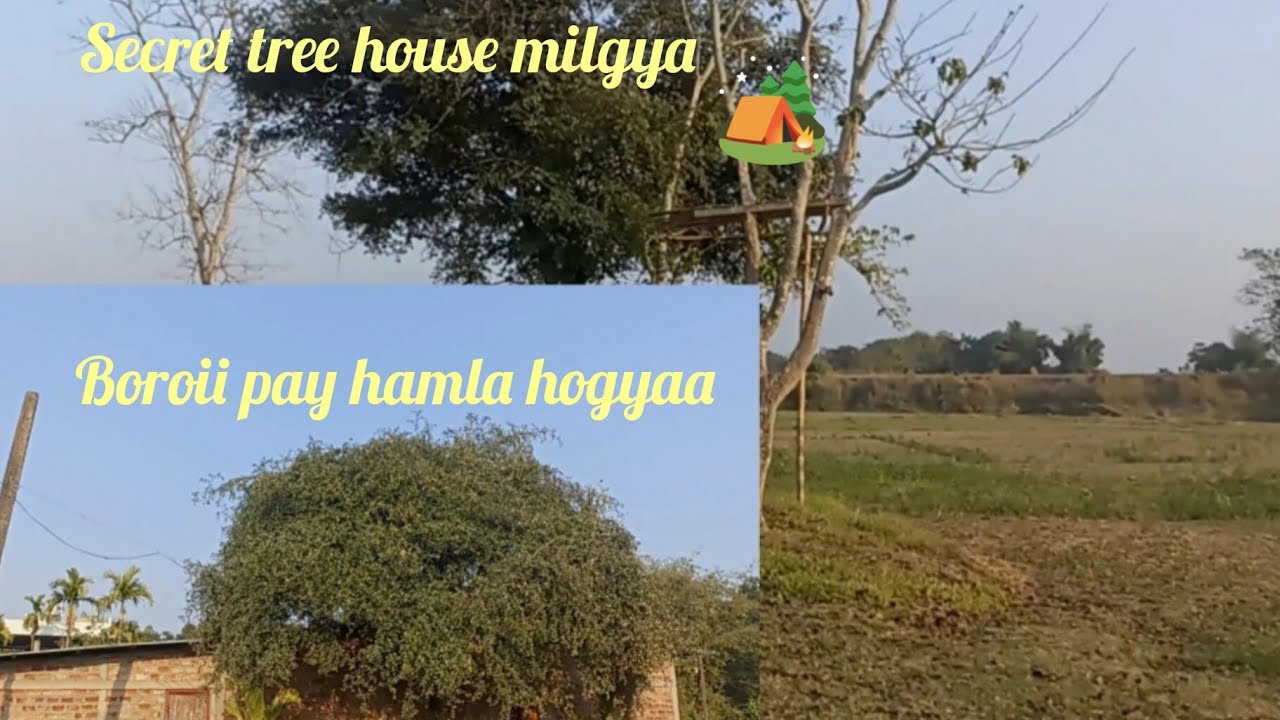 Hamara tree house.🏡