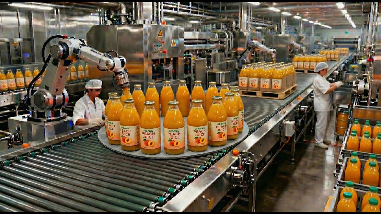 Inside the Peach Juice Factory: From Fresh Fruit to Bottled Perfection | Full Production Process
