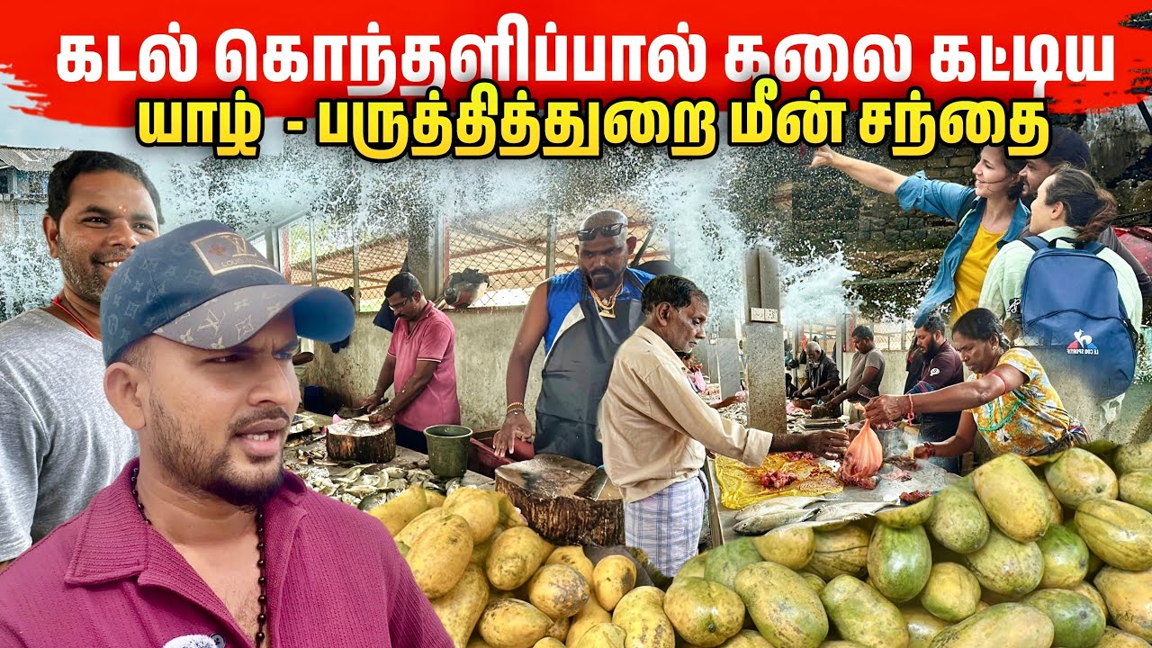 மழையால் குவியல் குவியலாக வந்த மீன்கள் என்ன ஒரு விலை 