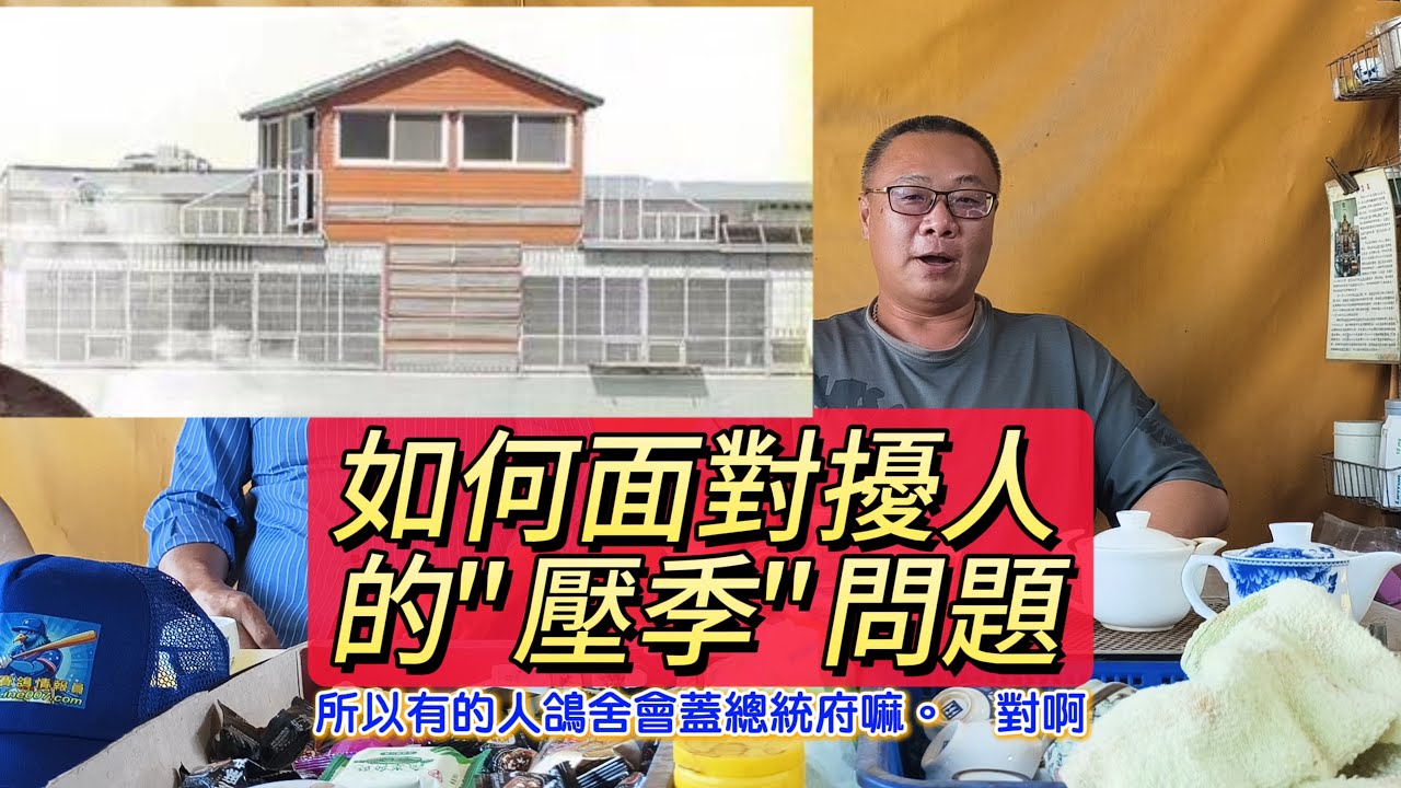 賽鴿壓季問題的因應之道 #朝旭競翔 #宋建霆 #強豪 #養鴿 #鴿舍
