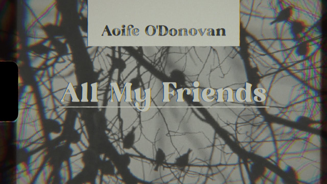 Aoife O'Donovan - All My Friends [Full Album]