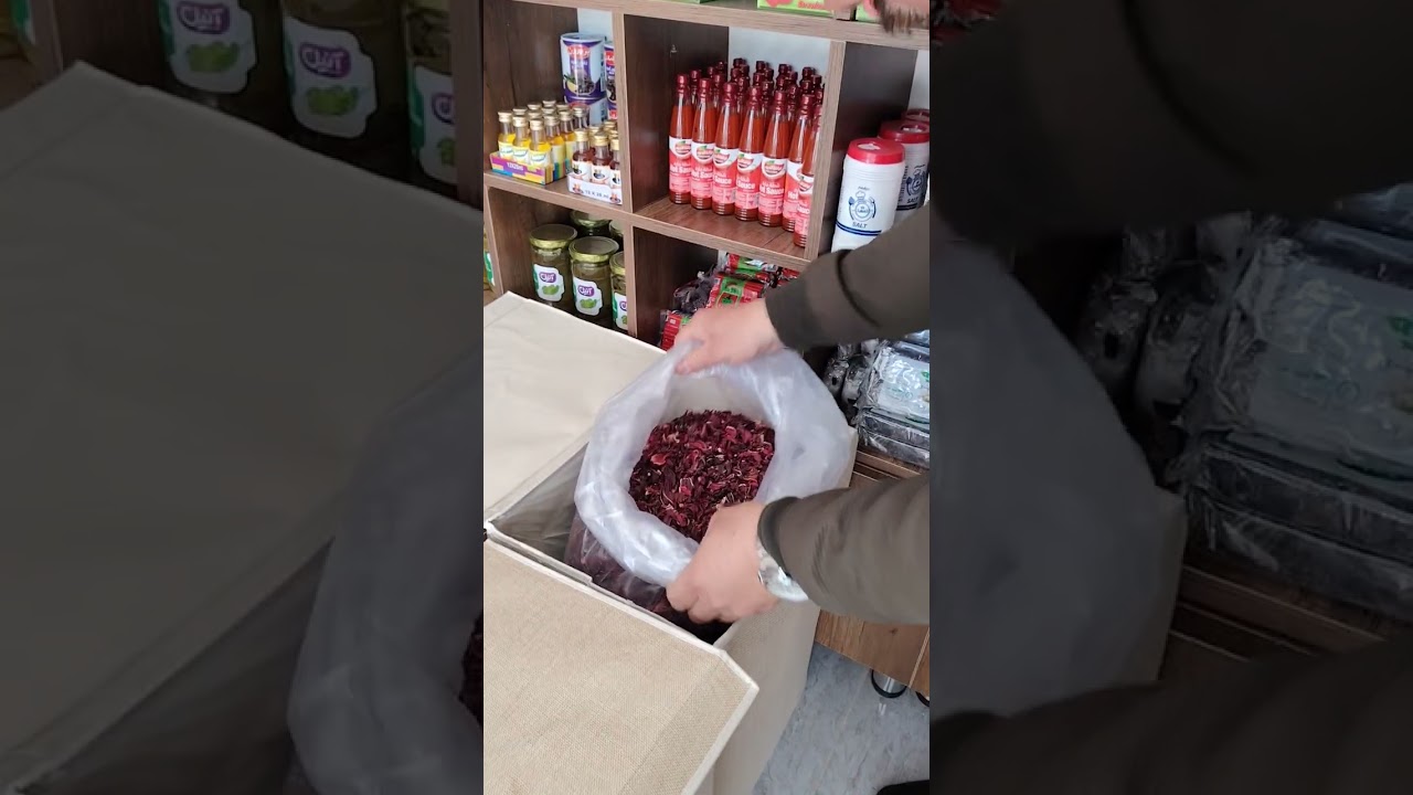 ١ فبراير، ٢٠٢٦