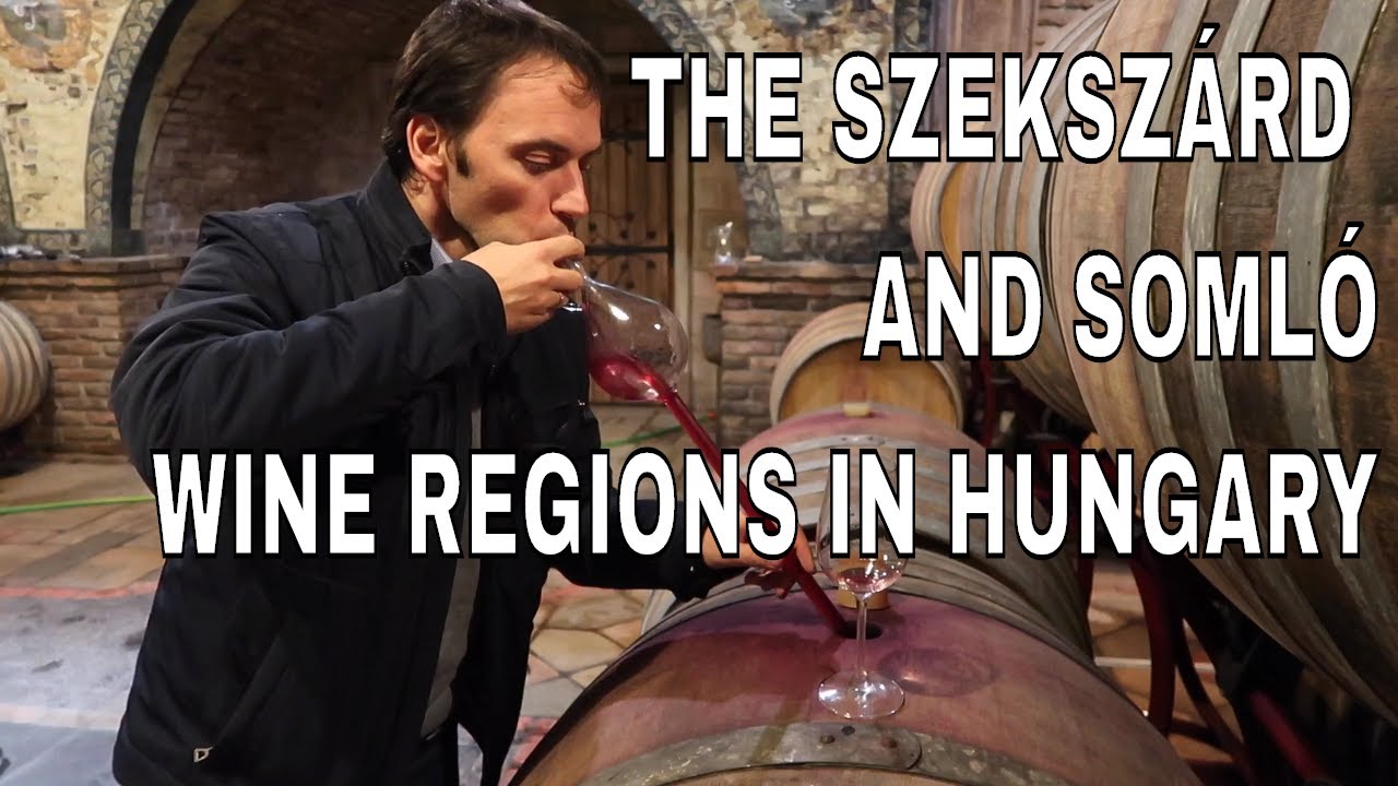 Hungarian Wine: Exotic Wine Travel in Szeksz&aacute;rd & Soml&oacute;