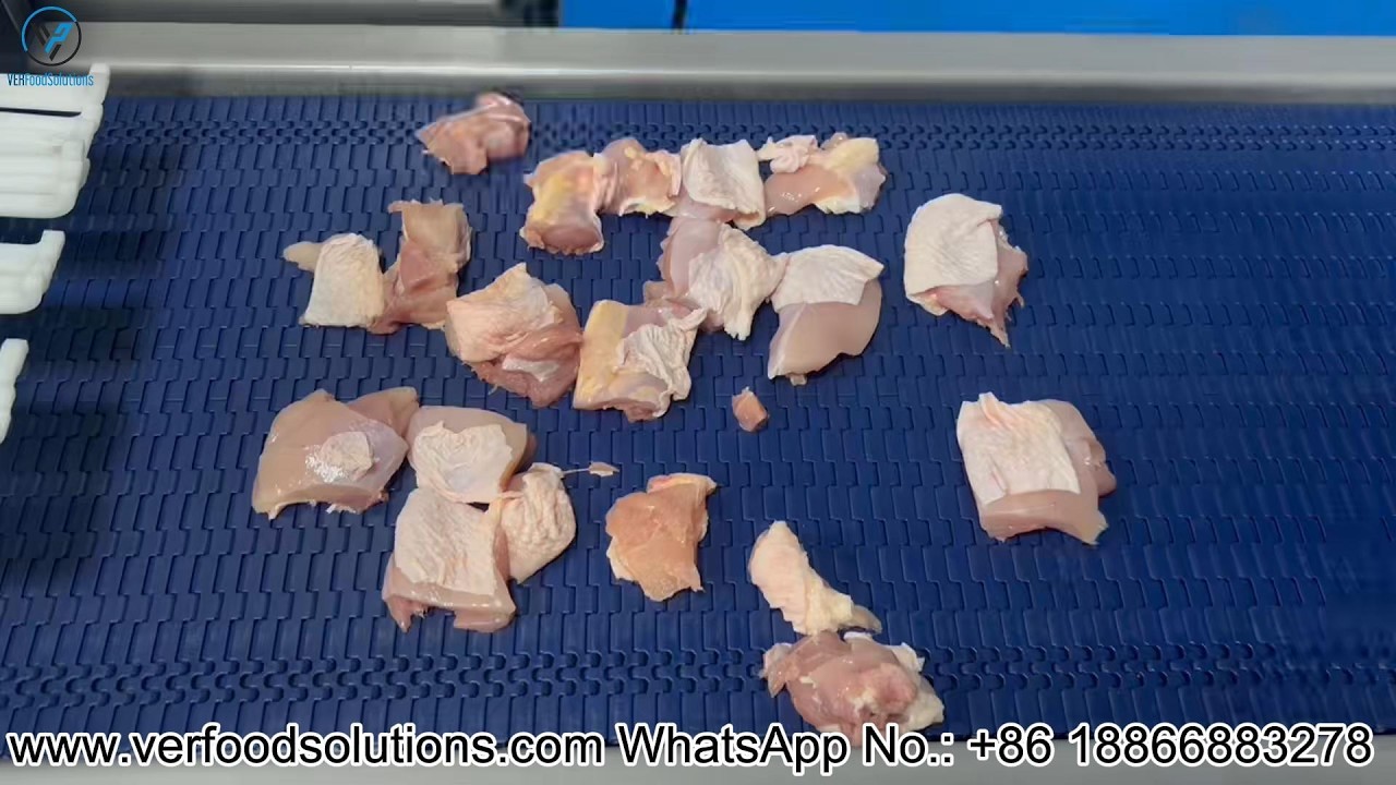 45x45mm Boneless Fresh Chicken Thigh Strip Cube Cutting Dicing Machine Test for Australia Customer