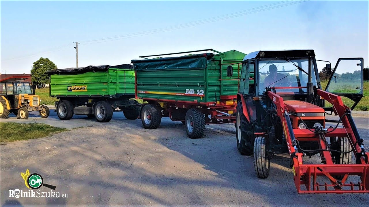 Zetor 7211 z 35 Tonowym Transportem Kukurydzy - Żniwa Kukurydziane 2018 u Rolnik Szuka VLOG #40