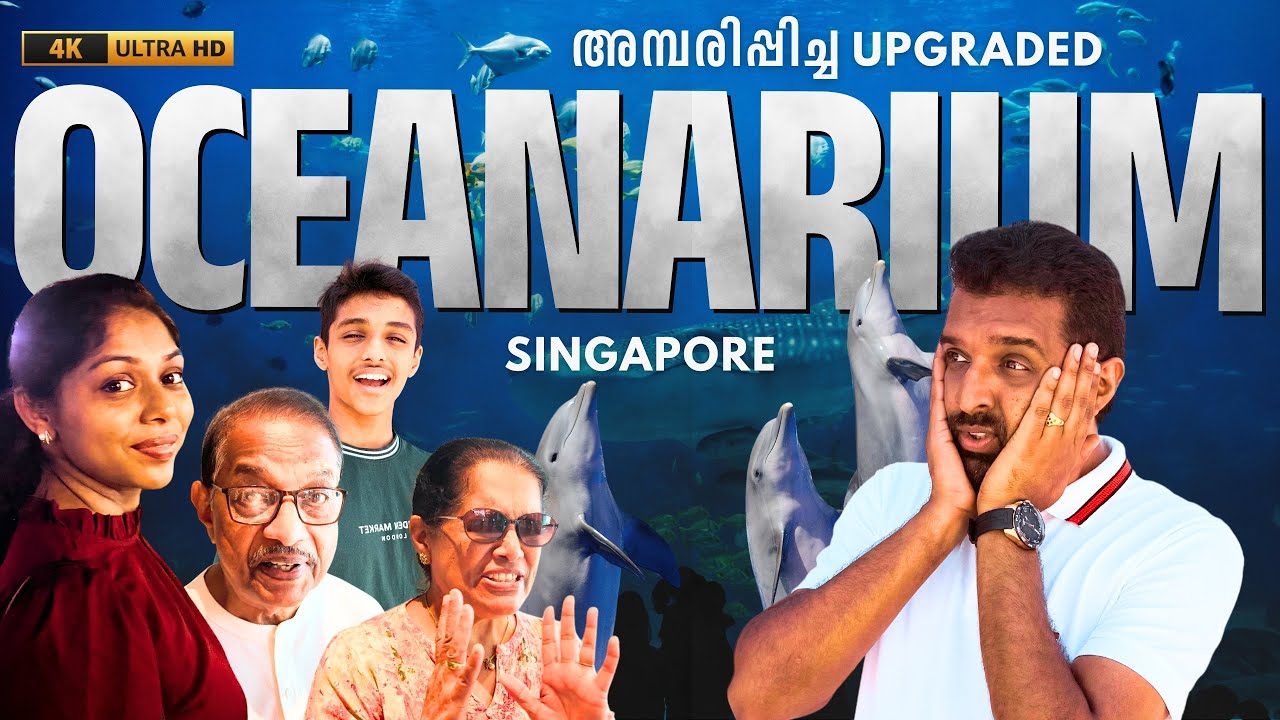 Семейная поездка в Сингапур | Tonychayan #путешествия