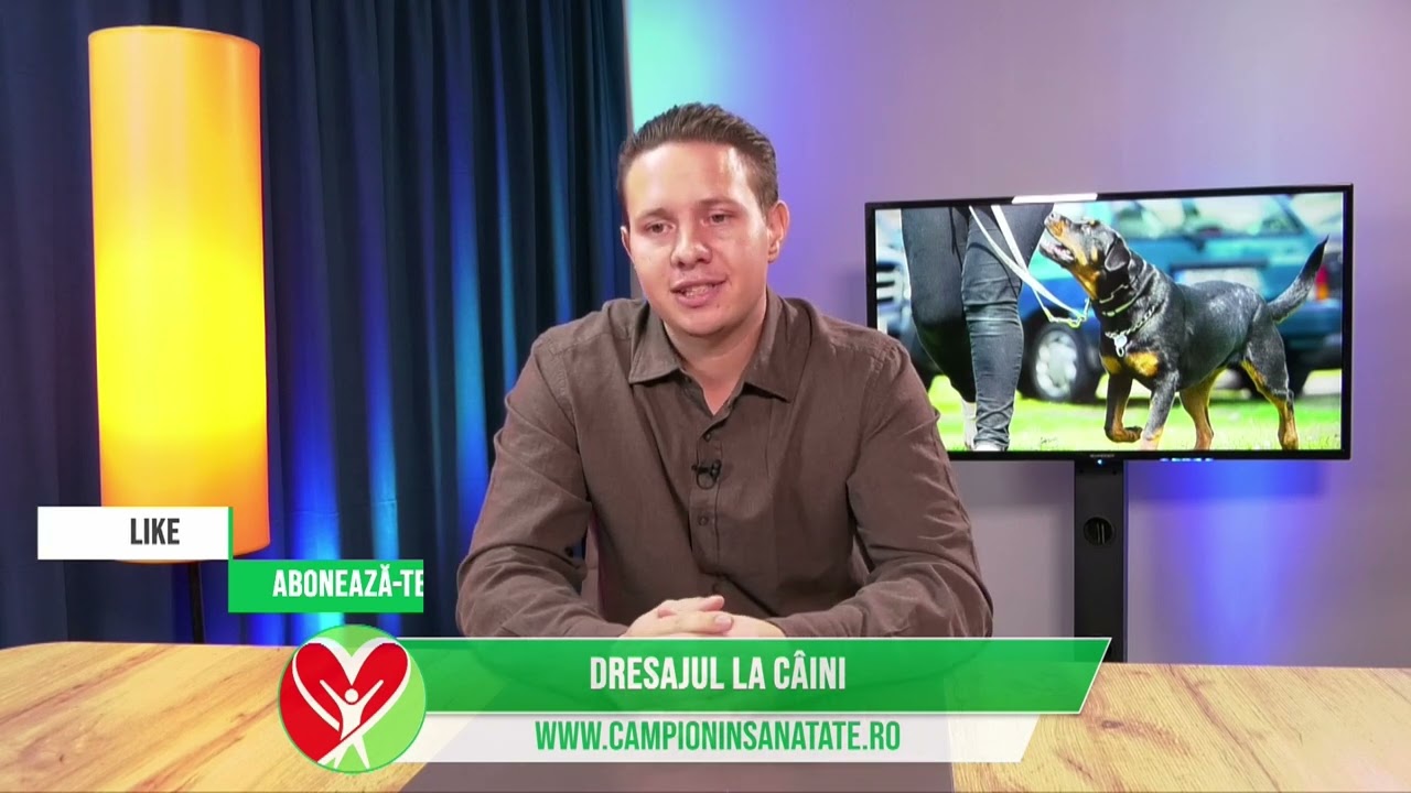 DRESAJUL LA CAINI: DOCTOR MARIUS DRAGOMIR - MEDIC VETERINAR