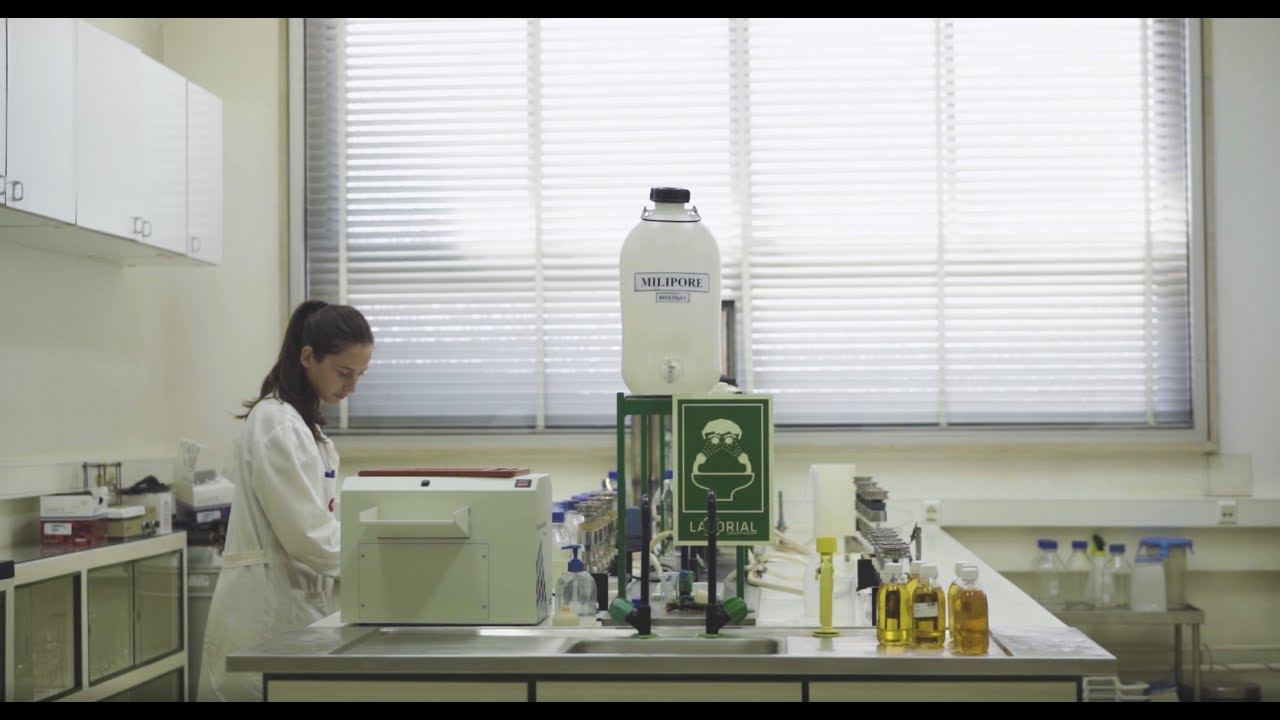The history behind EDP Labelec