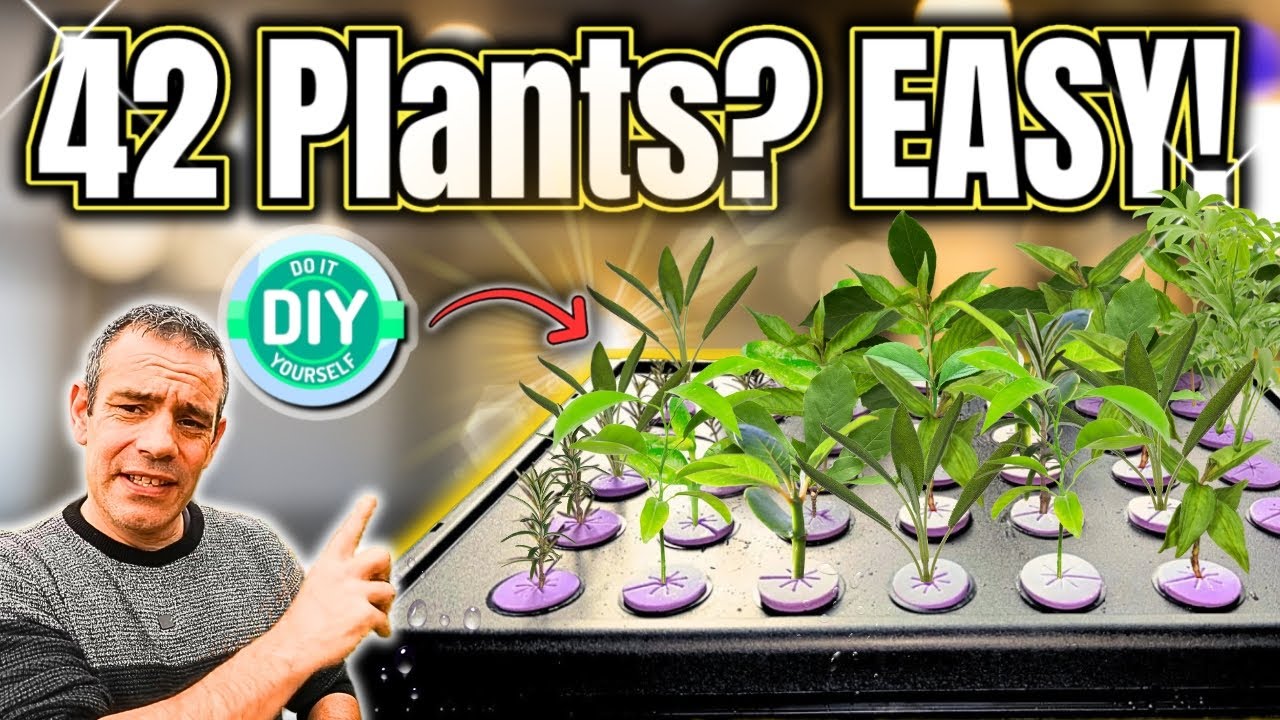 Why Cloning Plants Changes How You Grow Food