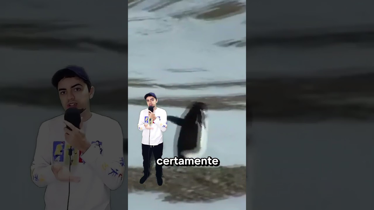 Pinguim niilista?