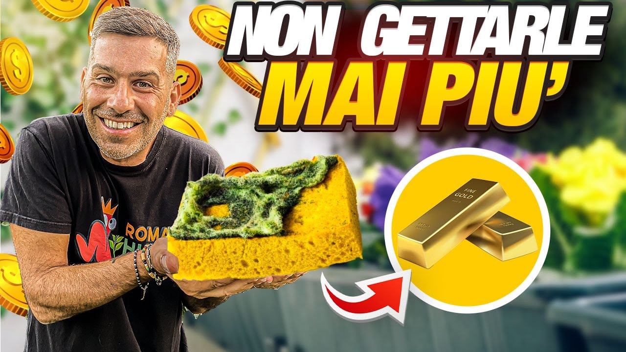 LE SPUGNE VECCHIE VALGONO ORO  per le tue PIANTE 💰🌼😎