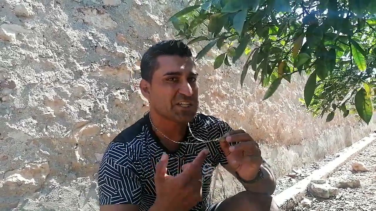 Como tocar el reclamo bucal para el zorzal  4