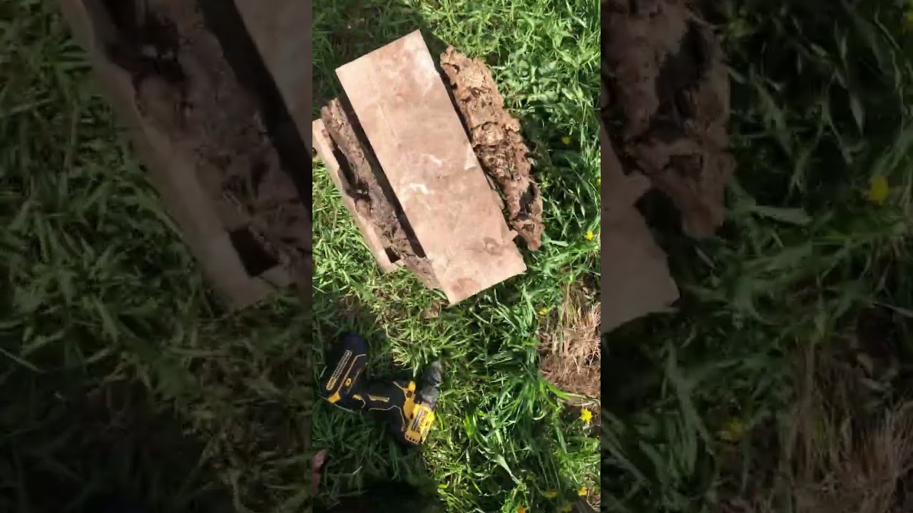 Making some bee hotels #bee