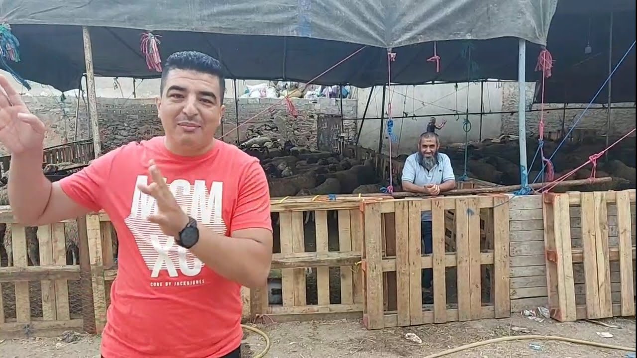 أثمنة عجيبة..هربال مشا للكوري وجاب ليكم خبار حولي العيد..؟!