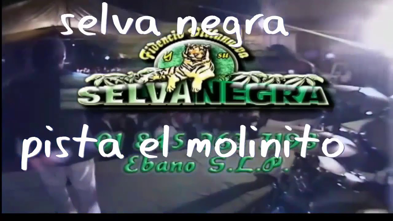 SELVA NEGRA PISTA EL MOLINITO 2009