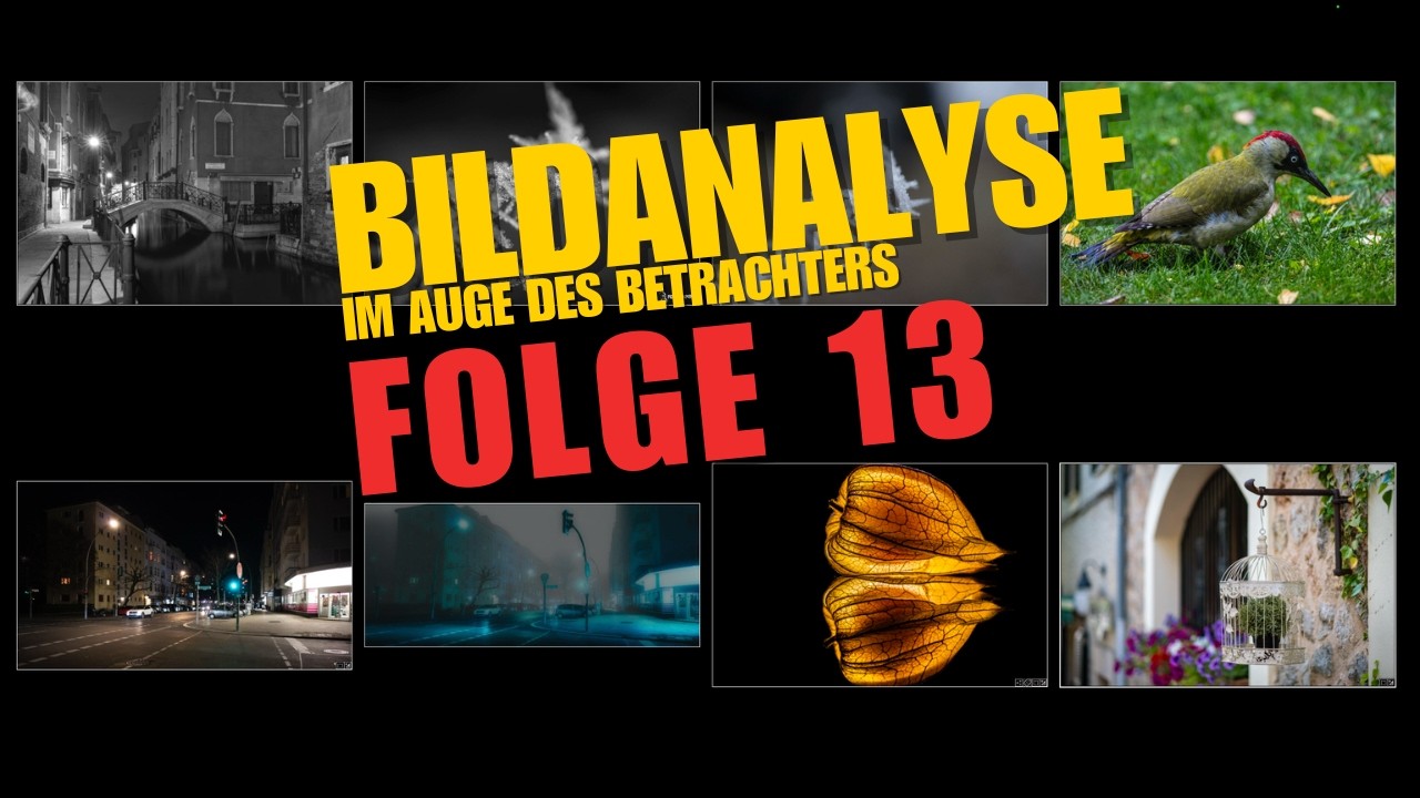 BILDANALYSE 013  - Professionelles Feedback vom Profifotografen Werner Harrer