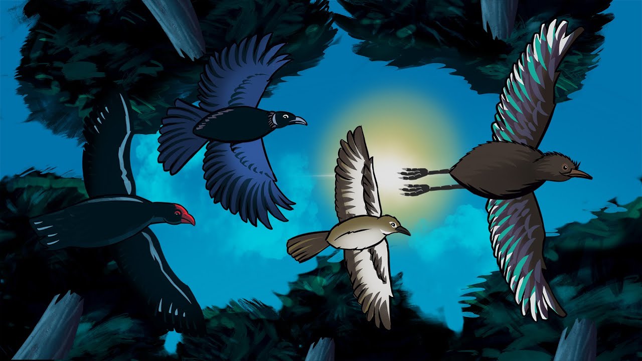 He Paki Taonga i a Māui: Te Ngarohanga o ngā Parirau o te Kiwi | How the Kiwi Lost Its Wings