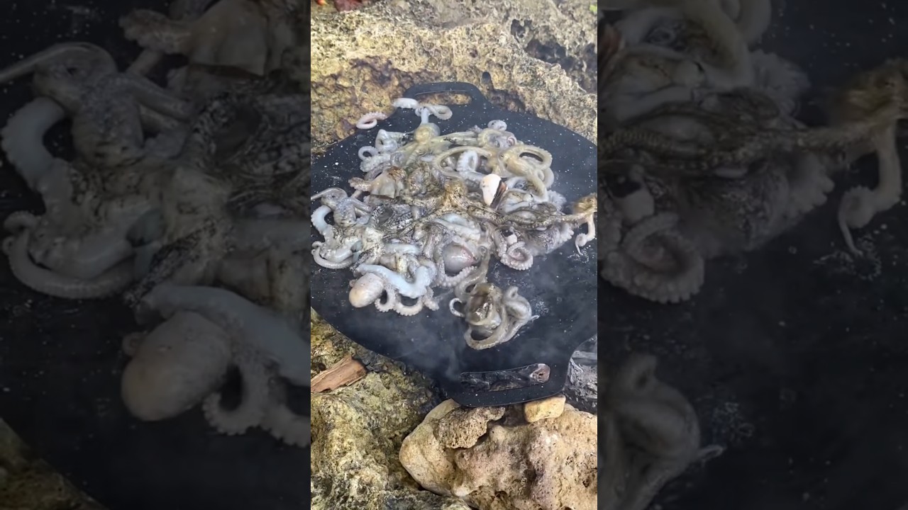 Frying a LOT of Fresh Caught Octopus Like a Pro &ndash; Crispy & Tender Every Time!