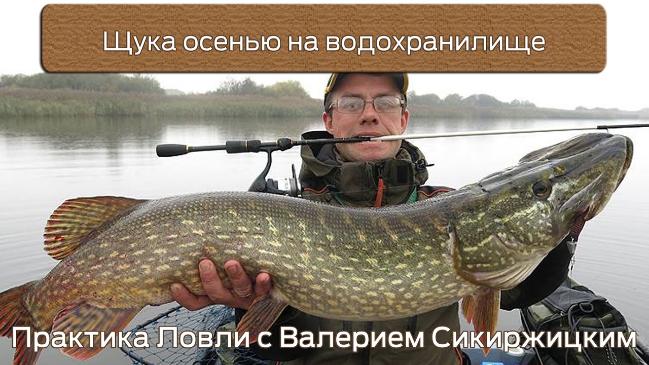 Щука осенью на водохранилище : Практика ловли с Валерием Сикиржицким