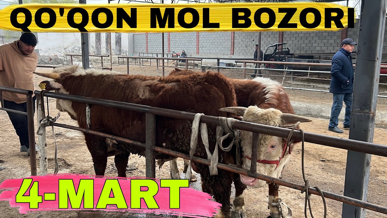 👉 4-MART Qo‘qon mol bozori 🔥 Narxlar odamni hayratga soldi!