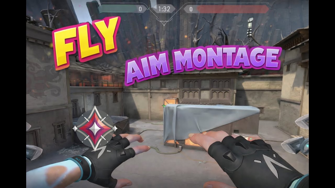 FLY